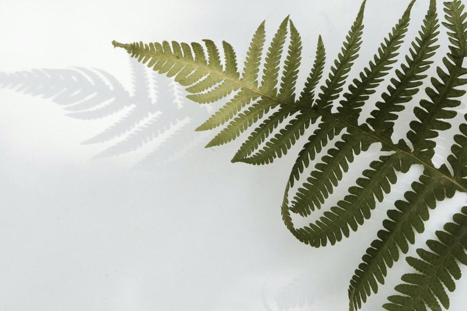 floramedia-duurzaamheid-climatecalc-co2-voetprint-berekenen