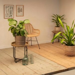 floramedia-fotostudio-boskoop-donkere-studio