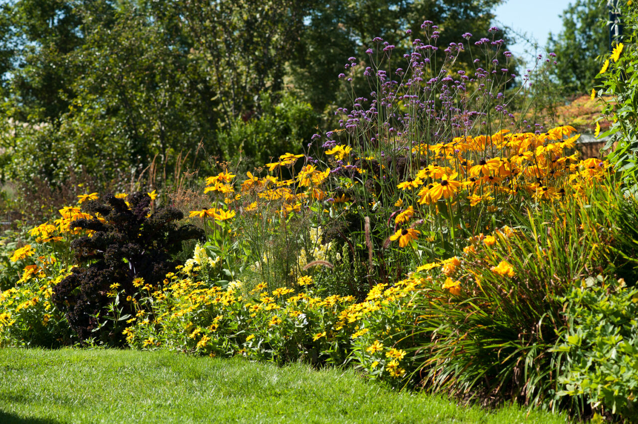 Tuintrends 2026: nostalgie, warmte en futuristische vormen