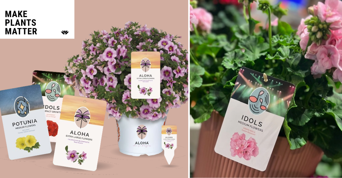 Tailor-made merkconcept voor Dümmen Orange