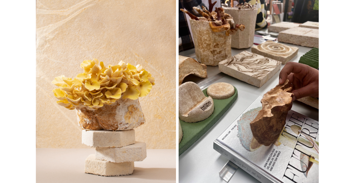 Van schimmelnetwerk naar onderscheidende verpakking